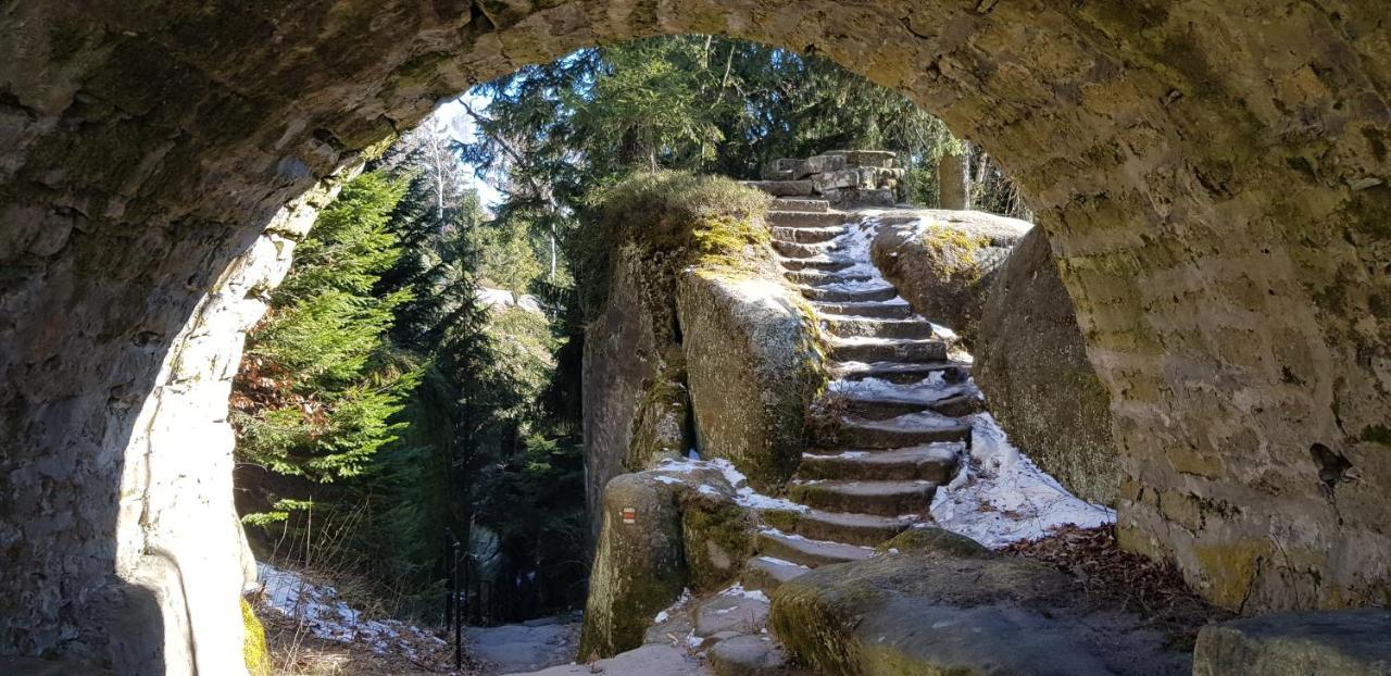 Podskali Adrspach Teplice nad Metují Exteriör bild